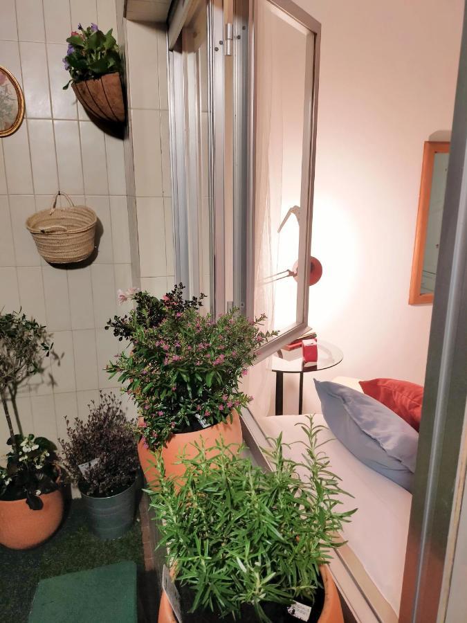 Apartamento Boutique "A Casa De Lola" ボイロ エクステリア 写真